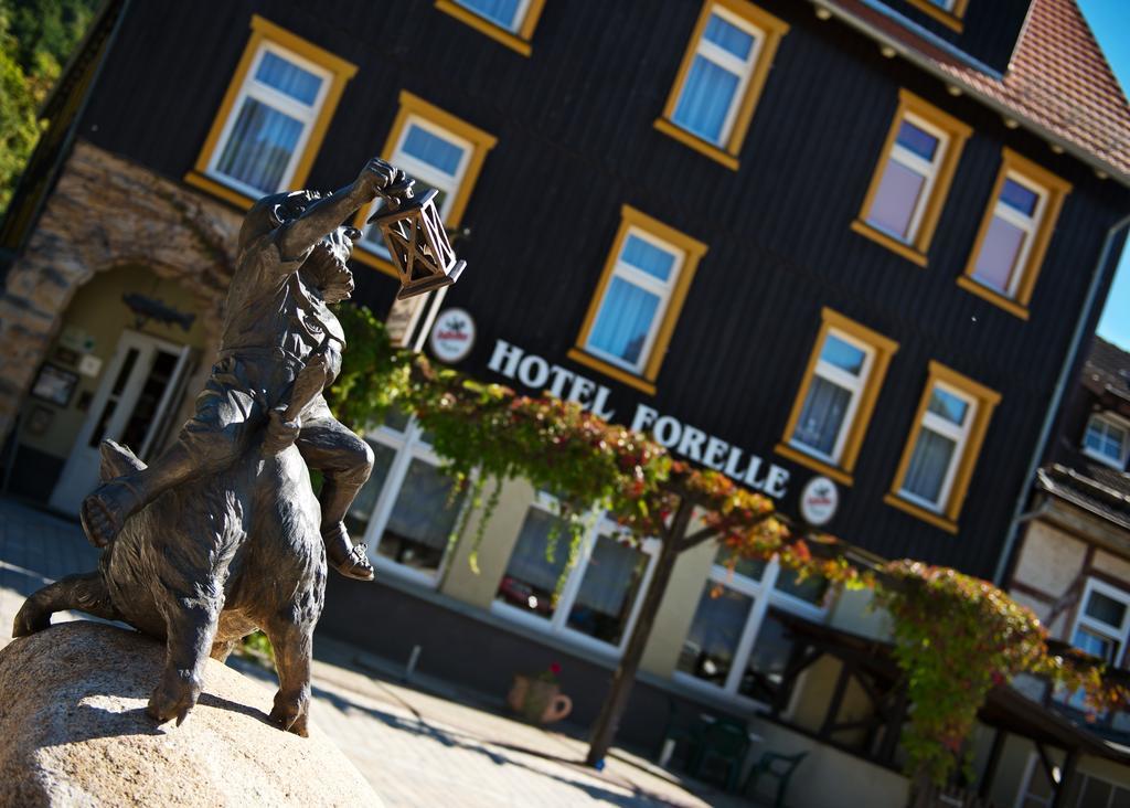 Greenline Ferienhotel Forelle Thale Bagian luar foto