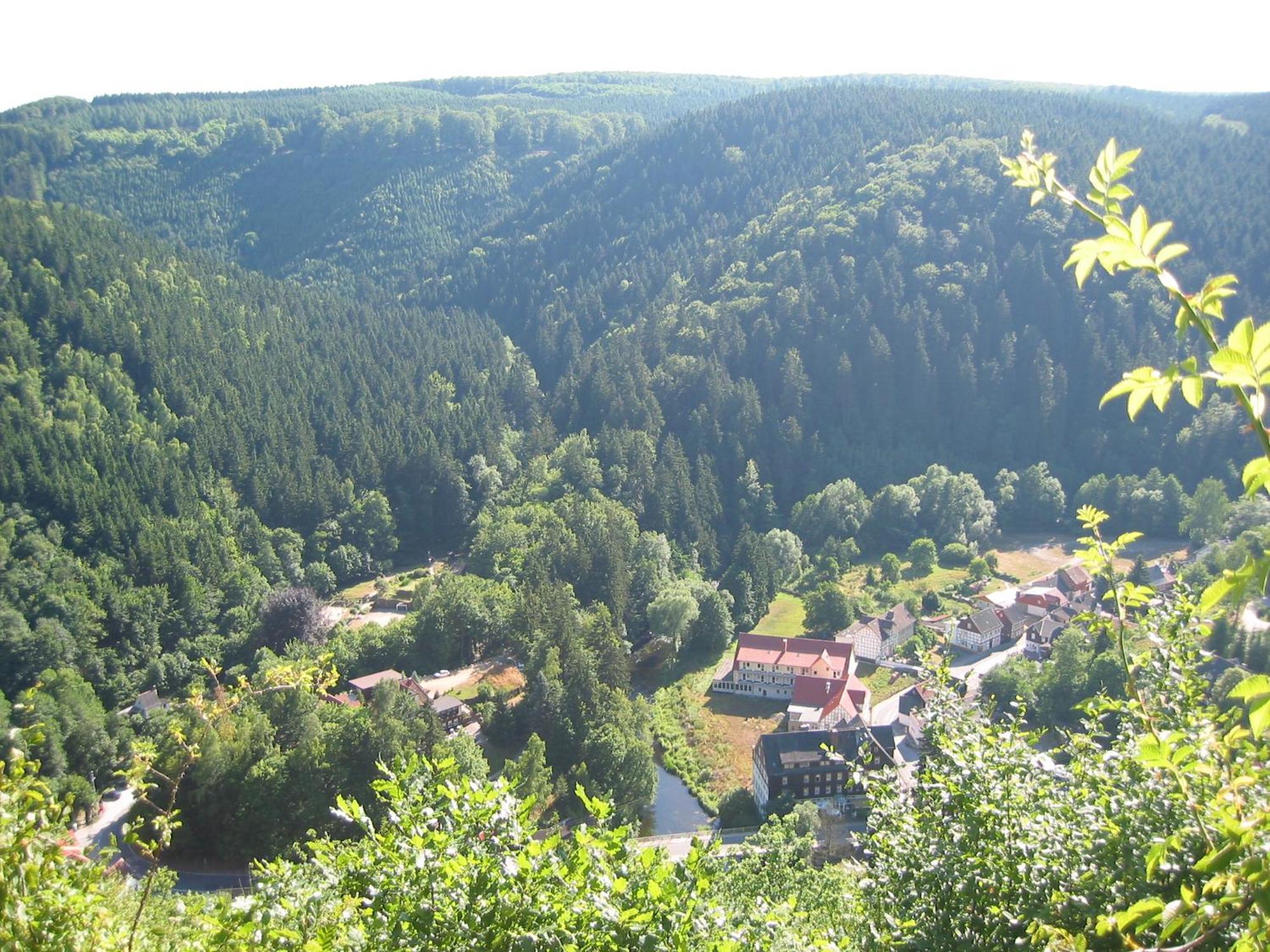 Greenline Ferienhotel Forelle Thale Bagian luar foto